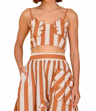 Olivia By Livro Lulu Bralette Style Top In Ceramica In Brown