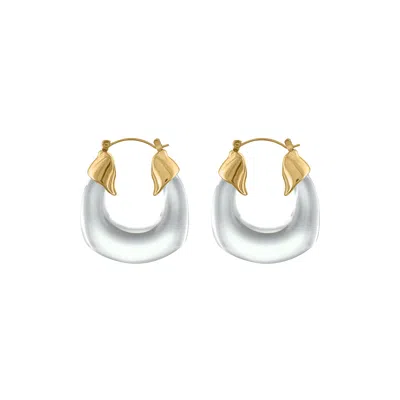 Olivia Le Women's Kylie Acrylic Hoop Earrings - Brown