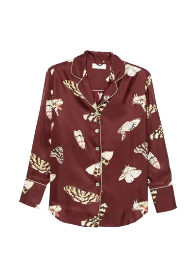 Olivia Von Halle Alba Ettore Moth-print Pajamas In Brown