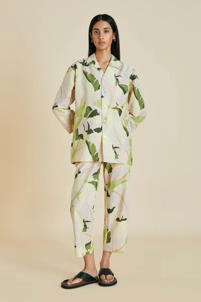 Olivia Von Halle Casablanca Nemo Cotton-silk Pajama Set - M In Neutral