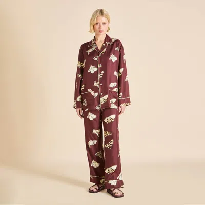 Olivia Von Halle Yves Ettore Brown Moth Pajamas