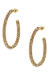 Olivia Welles Claudia Imitation Pearl Hoop Earrings In Gold/cream