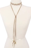 Olivia Welles Fancy Foliage Choker Necklace In Metallic