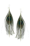 Olivia Welles Peacock Feather Dangle Earrings In Gold/multi