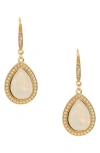 Olivia Welles Stargazer Crystal Drop Earrings In Gold