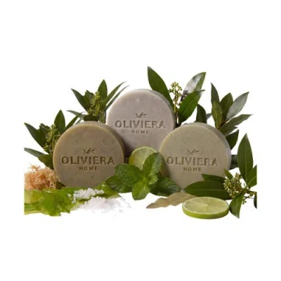Oliviera Home Coastal Herb Bar Soap Trio In Transparent