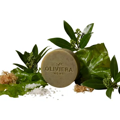 Oliviera Home Seaweed Bar Soap Trio In Green