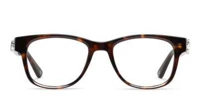 Olos Magnetix Kids Tortoise