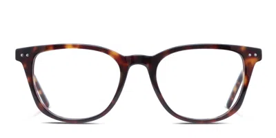 Olos Tiera Kids Tortoise