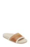 Olukai Hō‘ala Genuine Shearling Slide Sandal In Tan/puka