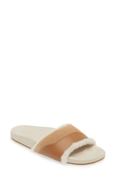 Olukai Hō‘ala Genuine Shearling Slide Sandal In Tan/puka