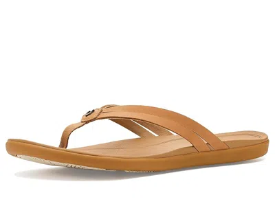 Olukai Ho Opio Hui Flip Flop In Brown