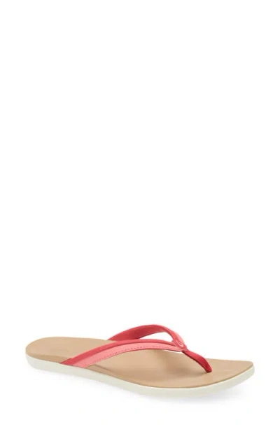 Olukai Ho'ōpio Mālua Flip Flop In Brown