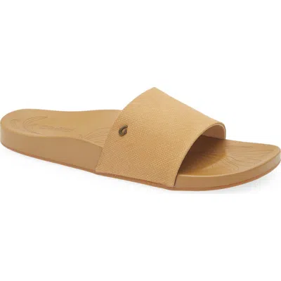 Olukai Kipea'a Pono Slide Sandal In Brown