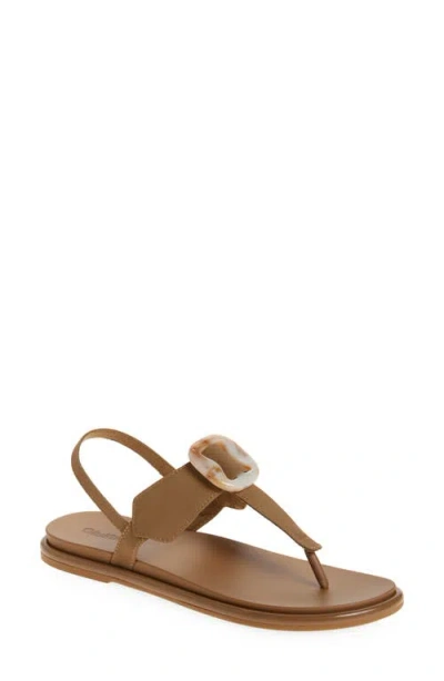 Olukai La'i Slingback Sandal In Brown