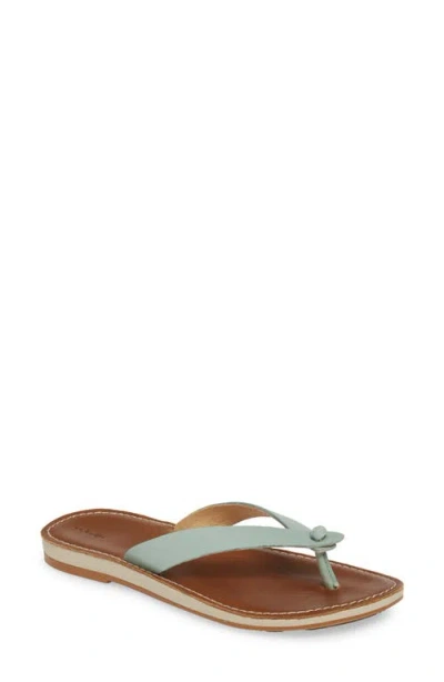 Olukai Nohie Flip Flop In Multi