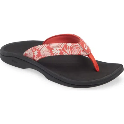 Olukai Ohana Flip Flop In Multi