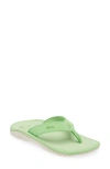 Olukai Ohana Flip Flop In Frog / Frog