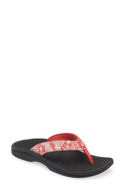Olukai Ohana Flip Flop In Lehua Flower/onyx
