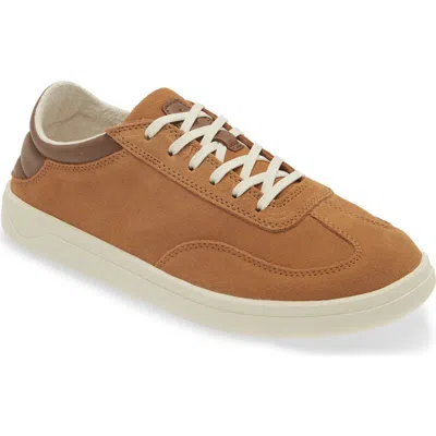 Olukai Pūnini Convertible Court Sneaker In Brown