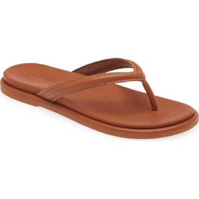 Olukai Tiare Flip Flop In Fox/fox