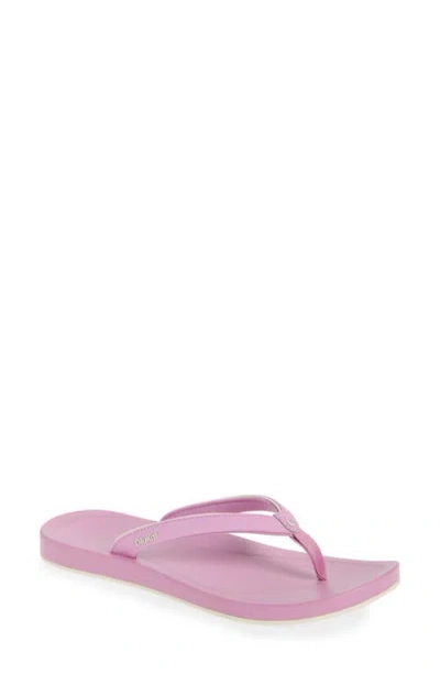 Olukai Uiki Water Resistant Flip Flop In Cosmo/cosmo