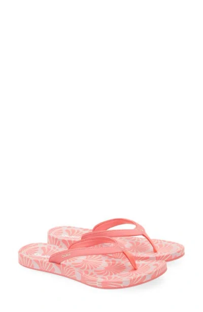 Olukai Uiki Water Resistant Flip Flop In Multi