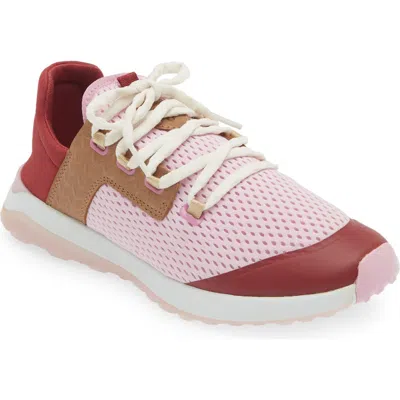 Olukai Wailuku Sneaker In Paradise Pink / Loganberry