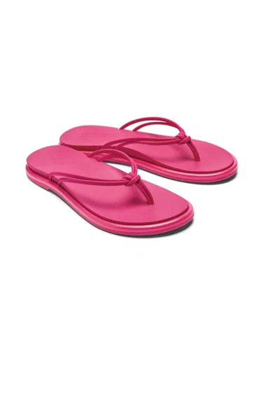 Olukai Women's Strappy Beach Sandals In Pink Plumeria In Multi