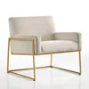 Omax Decor Milano Steel & Velvet Upholstered Lounge Accent Chair In Abalone Gray