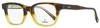 Omega Men's Rectangular Eyeglasses Om5004h 056 Havana-honey/crystal 52mm In Multi