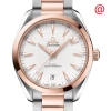 OMEGA OMEGA SEAMASTER AUTOMATIC CHRONOMETER SILVER DIAL MEN'S WATCH 220.20.41.21.02.001