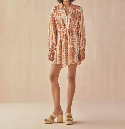 Omika Aria Mini Dress In Zena Sunrise In Brown