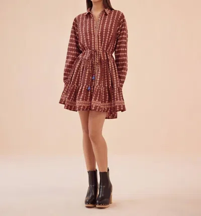 Omika Tula Mini Dress In Aara Espresso In Brown