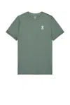 On Core-t In Gray