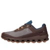 On Running (wmns)  Cloudvista Waterproof 'zinc Grape' In Brown