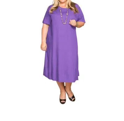 On The Plus Side Belle Rayon Plus Size Dress In Eggplant In Purple