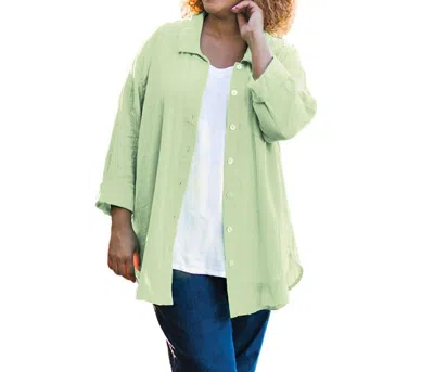 On The Plus Side Cotton Collar Long Sleeve Kendall Shirt - Plus In Spindrift In Green