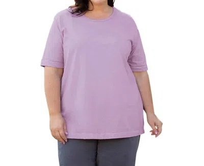 On The Plus Side Cotton Short Sleeve Tee - Plus In French Lilac In Pink