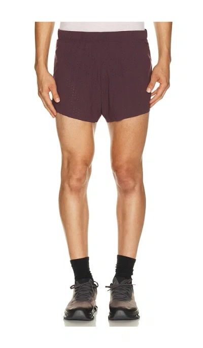 On Zero Shorts In Purple