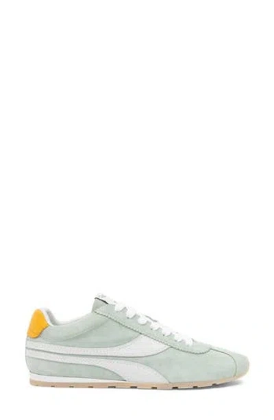 Oncept Essex Sneaker In Multi