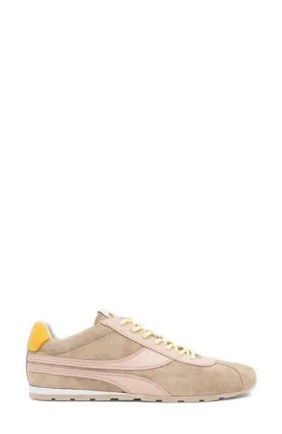 Oncept Essex Sneaker In Multi