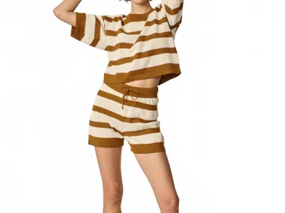 Oncept Women's Carmen Knit Short In Ginger In Transparent