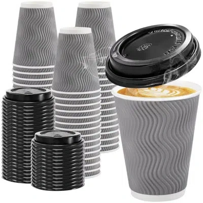 One 100 Pack 12 oz Disposable Coffee Cups With Lids, Insulated Ripple Wall To-go Paper Coffee Cups Suita In Gray