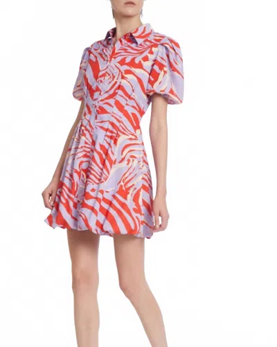 One 33 Social Zebra Fit & Flare Dress In Lilac In Multi