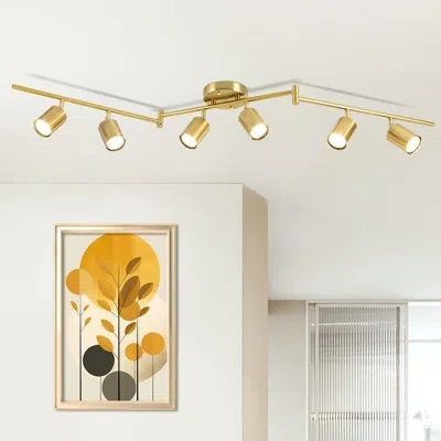 One 6 Ways Track Lighting, Rotatable Heads Tracks Light, Track Lightings Fixtures Ceiling With Foldable  In Gold