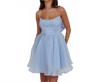 One And Only Collective Sleeveless Organza Mini Dress In Baby Blue