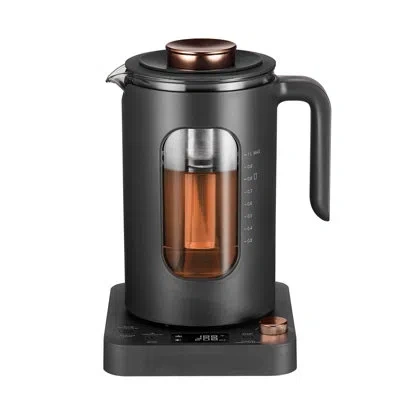 One Electric Tea Kettle, Intasting Glass Electric Kettle With Tea Infuser And Precise Knob Temperature C In Dark Gray