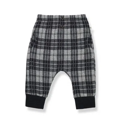 One More In The Family Kids' Boy Albert Pant In Anthracite In Gray