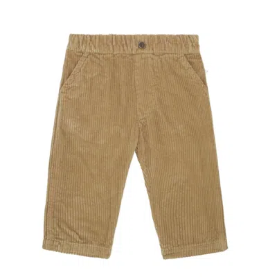 One More In The Family Kids' Boy Ovidi Pant In Ochre In Brown